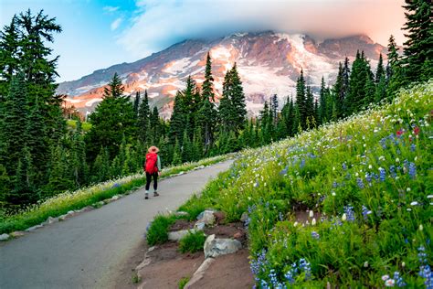 5 Tips For Hiking The Skyline Trail At Mt Rainier National Park 5 Tips For Hiking The Skyline Trail At Mt Rainier National Park