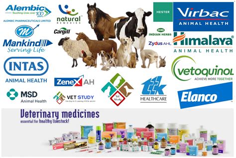 Blog Page 5 Med Vet Pharmaceuticals Blog Page 5 Med Vet Pharmaceuticals