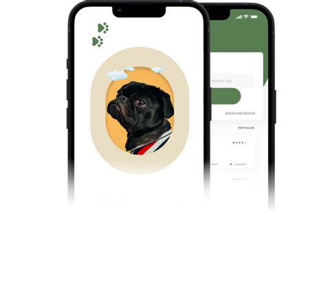 Flutter Agency Portfolio Purrfectpartners Pet Mobile App Flutter Agency Portfolio Purrfectpartners Pet Mobile App