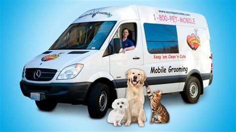 5 Mobile Dog Grooming Tips