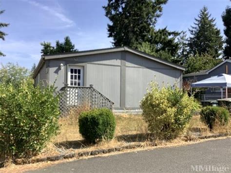 5 Tips Rainier Vista 5 Tips Rainier Vista